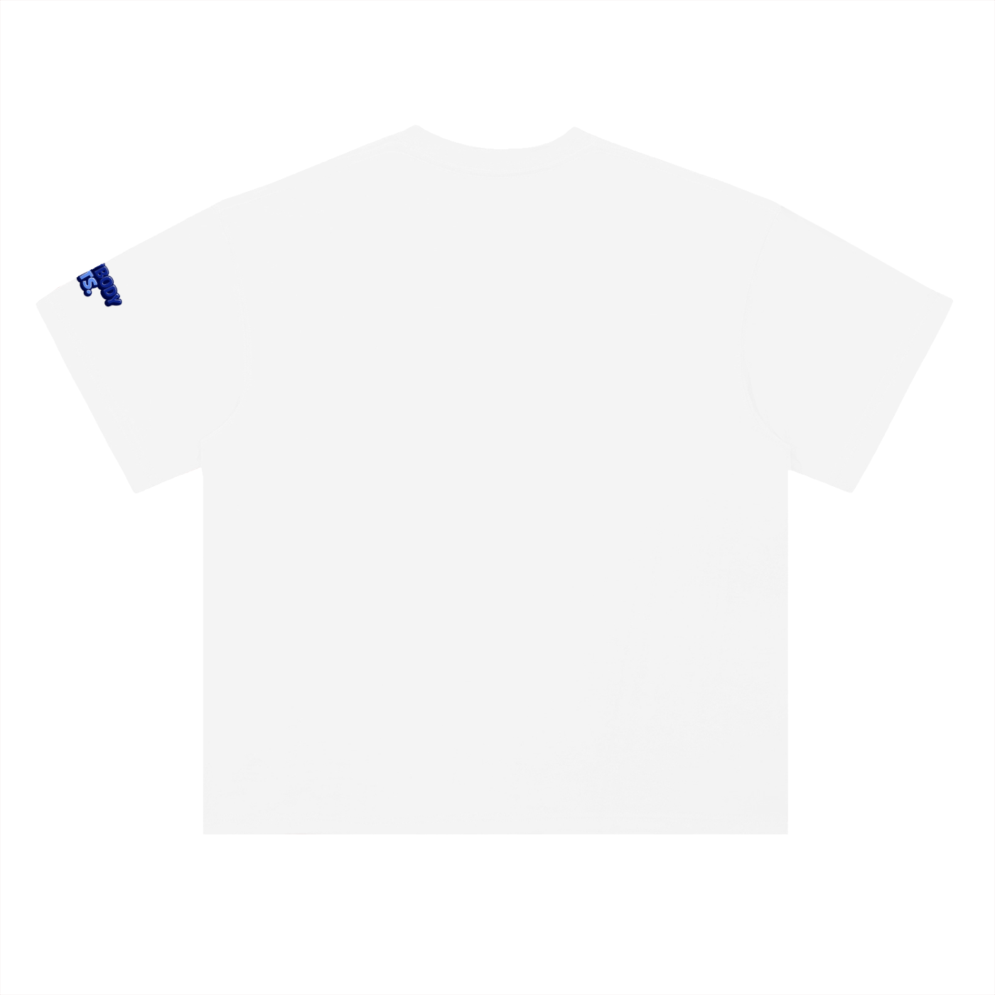 EVERYBODY EATS: BOISENBERRIES -Heavyweight Drop Shoulder Cotton T-Shirt